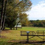 Fall Lawn Care Tips for Raleigh, N.C., Homeowners