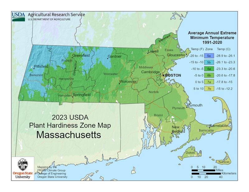 Hardiness zone USDA map Massachusetts