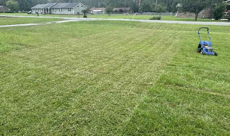 Mowed by the Wild Badger Power WB40V18PLM