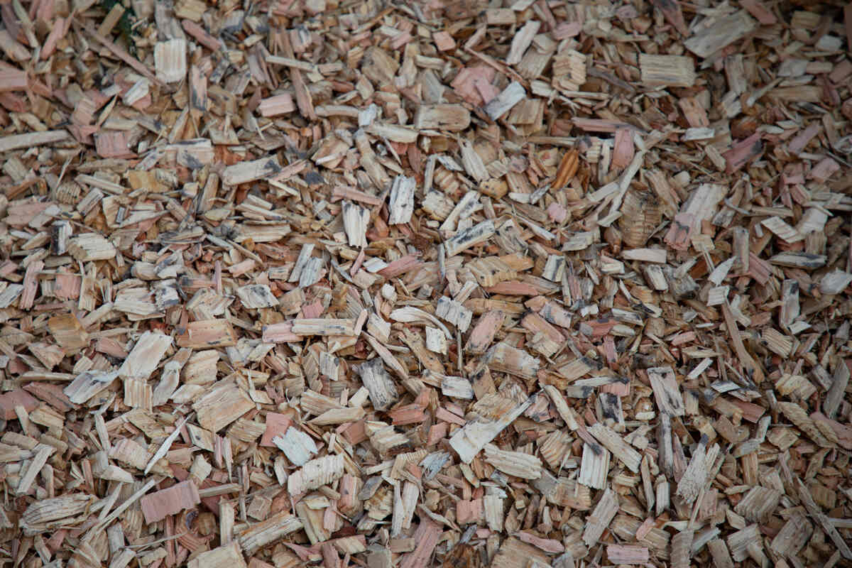 Wood chip mulch