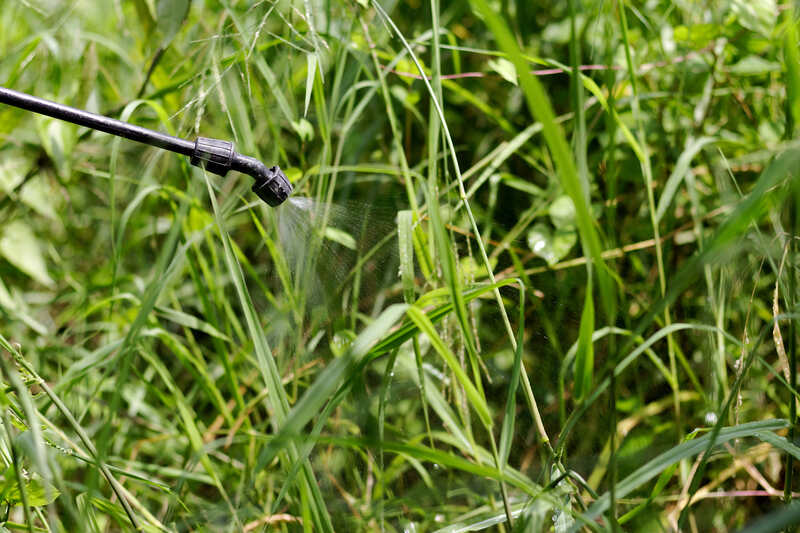 Spraying herbicide from the nozzle on weeds