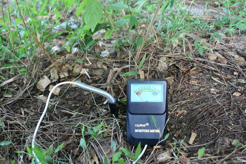 Soil moisture meter on the ground