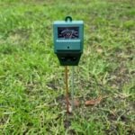 How to Test Soil Moisture