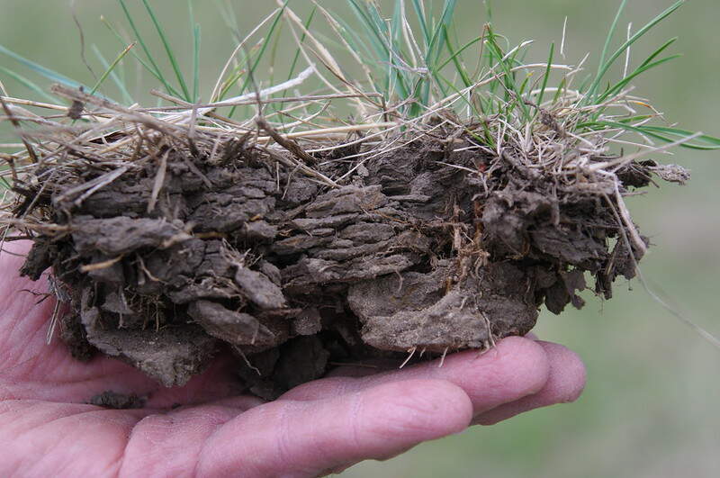 Person holding compacted soil