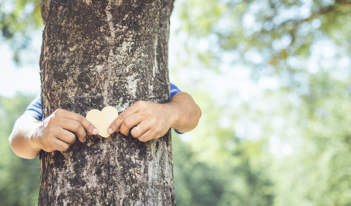 person hugging a tree and holding a wooden heart in front of tree