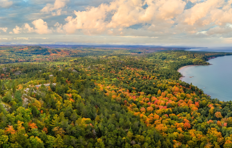 A view of foliage around Lake Superior from Sugarloaf Mountain in Michigan