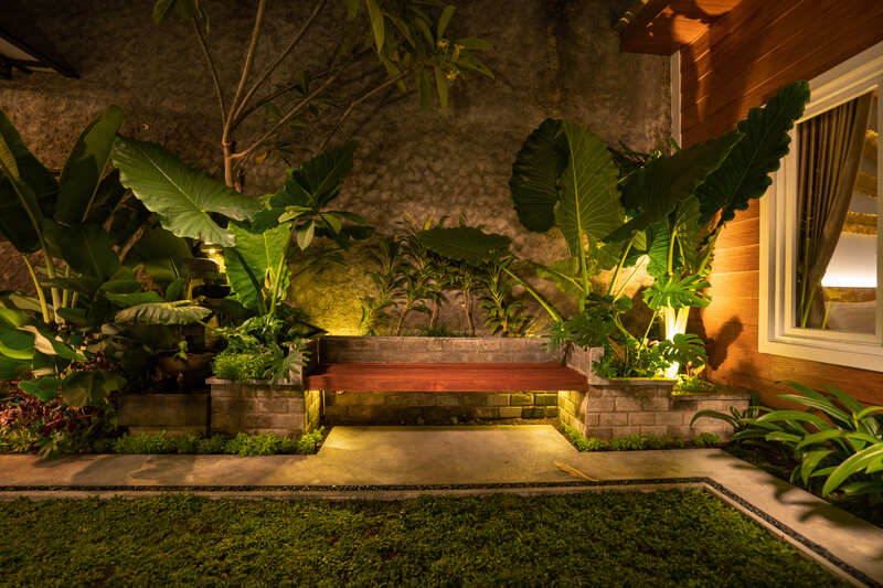 tropical Backyard Garden Illumination. Illuminated Garden at Night with Various of Plants 