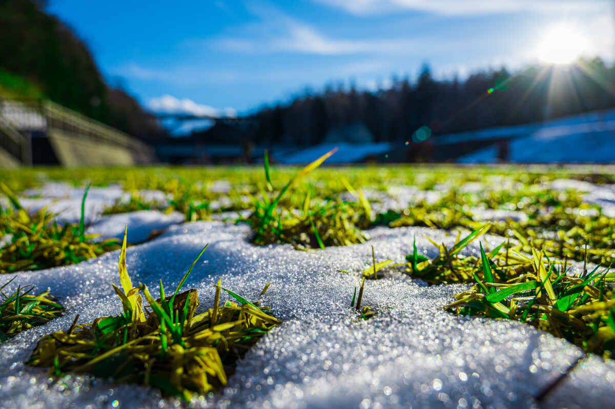 Snow on the grass