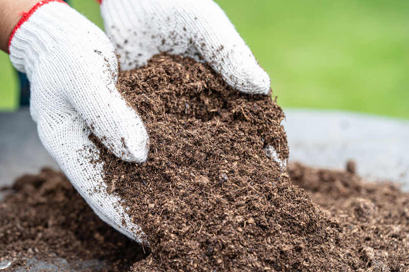 Gloved hands holding peat moss soil amendment