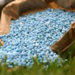 How Do You Know You Over-Fertilized Your Lawn?