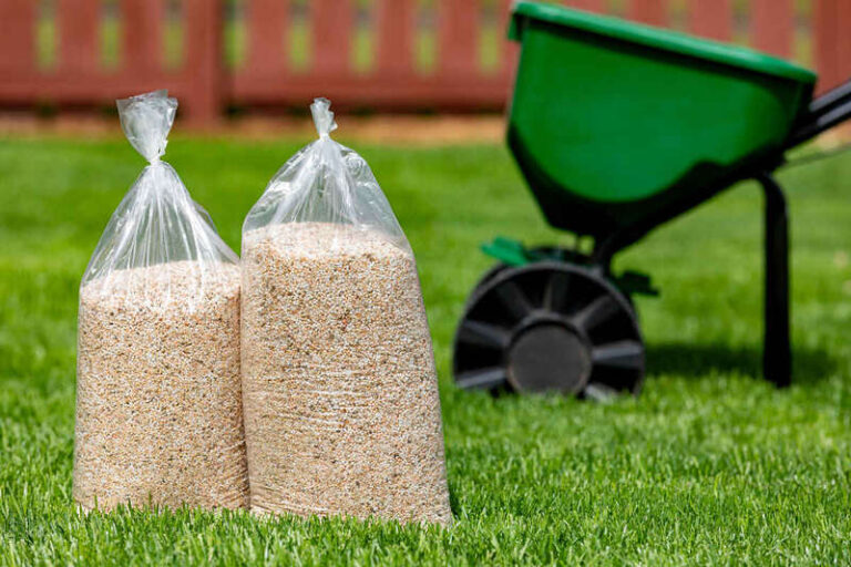 How Long After Weed and Feed to Plant Seed?