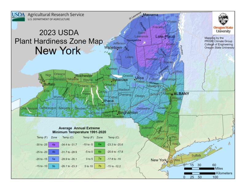 usda plant hardiness map new york