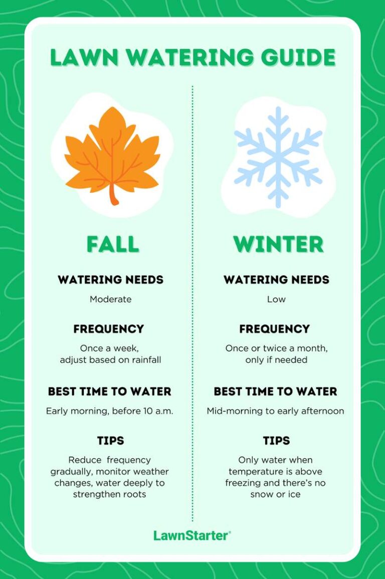How to Water Your Lawn in Fall and Winter