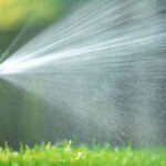 How to Water Your Lawn in Fall and Winter