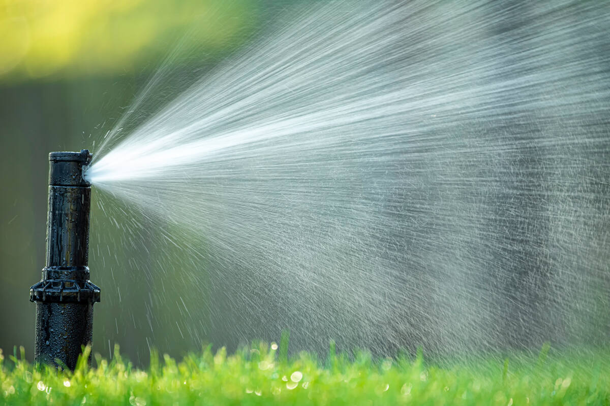 automatic watering system waters the green lawn grass