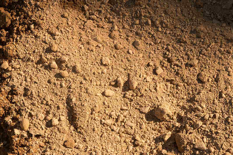 hard, compacted soil