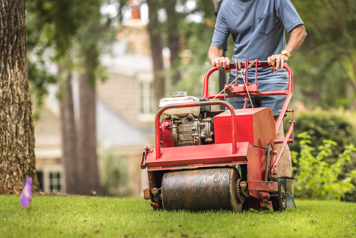 Man using gas powered aerating machine to aerate residential grass yard. Groundskeeper using lawn aeration equipment for turf maintenance.