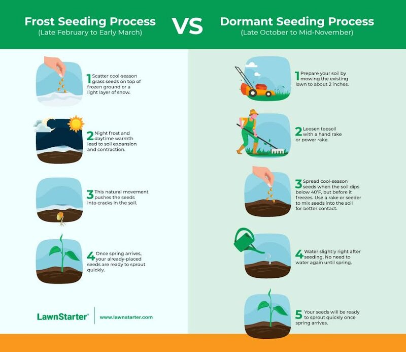infographic showing frost seeding vs dormant seeding processes
