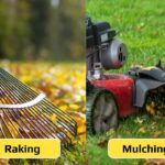 side by side image of raking and mulching