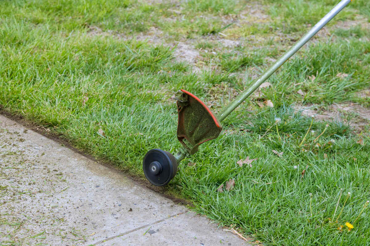 A string trimmer being used to edge a lawn