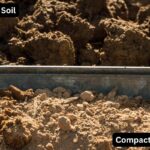 How to Tell You Have Compacted Soil