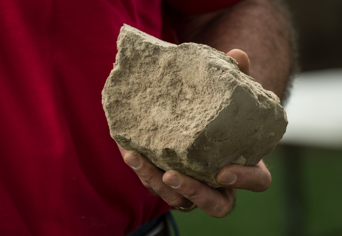 person holding compacted soil in his hand