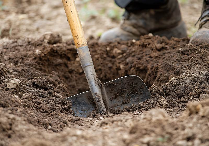 A person using a shovel to dig a hole in a lawn