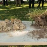 How to Fix Compacted Soil