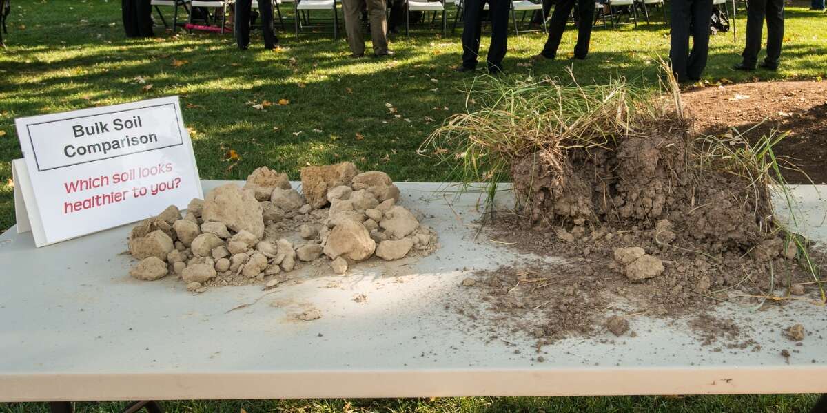 soil comparisons on a table between healthy and compacted soil