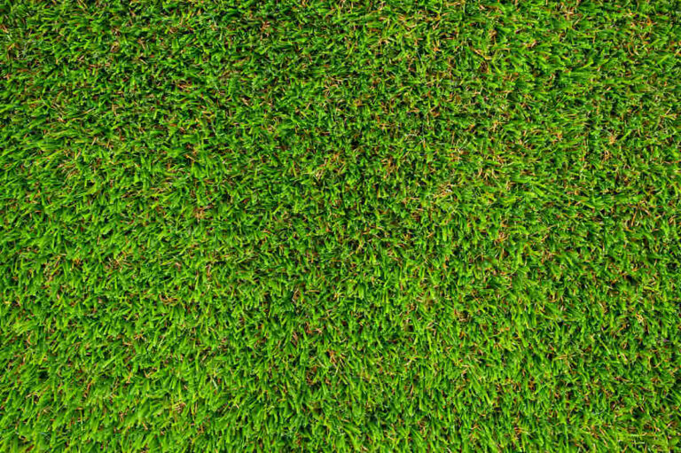 artificial grass