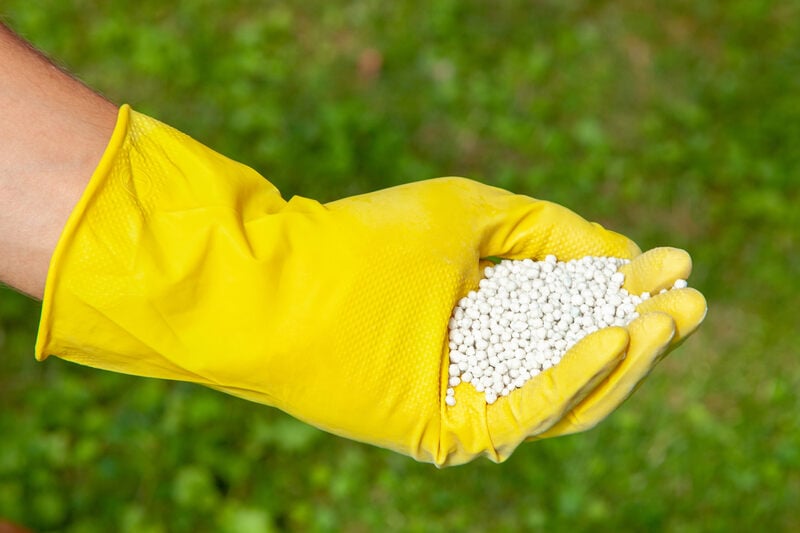 Gardener in gloves holds white fertilizer balls on grass