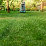 How Much Does Lawn Mowing Cost in 2023?