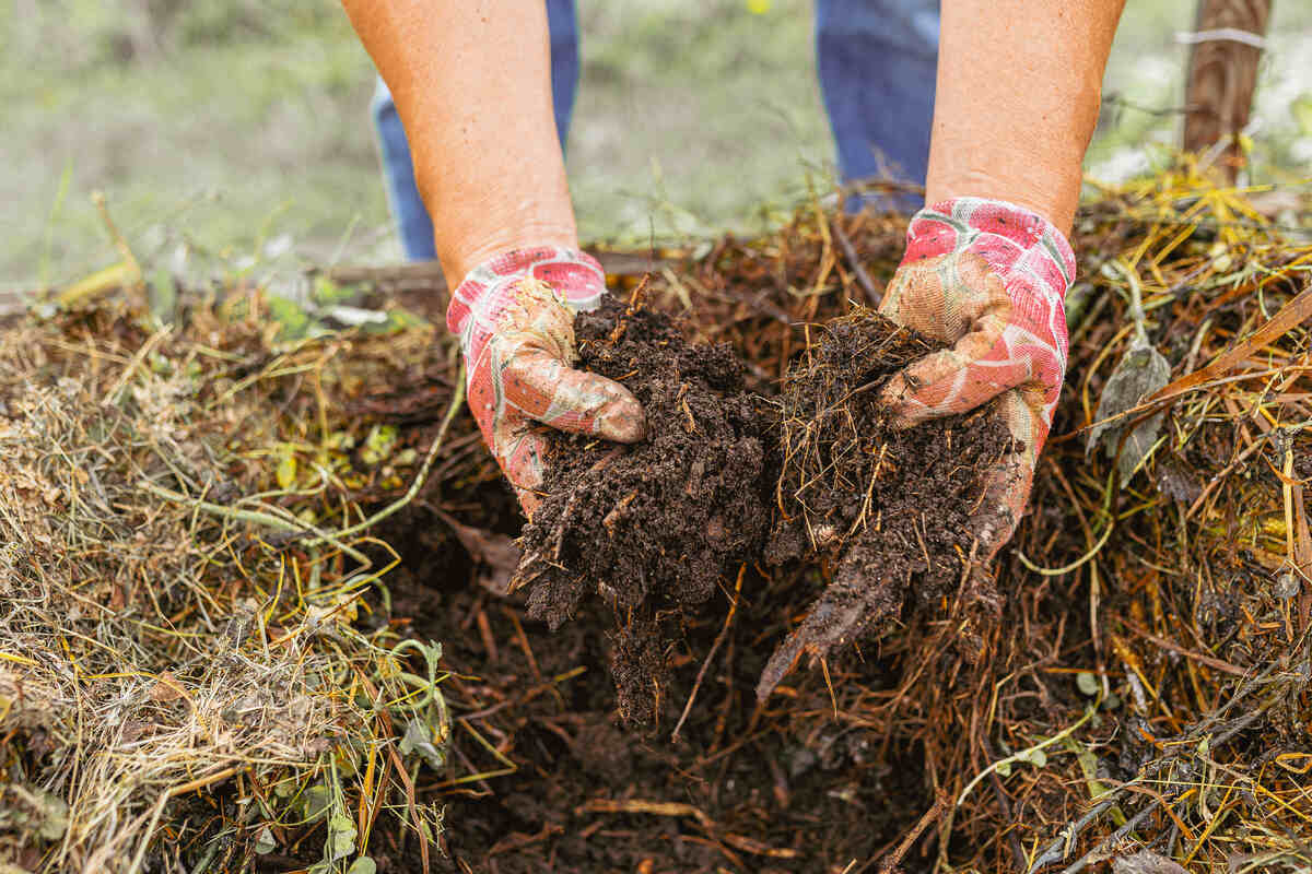 Composting food waste to enrich soil. gardener's hands in gardening gloves are sorting through compost close-up. High quality recycled compost. yield increase