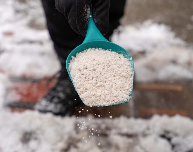 ice melt rock salt is being spread on your walking path to melt the snow and ice