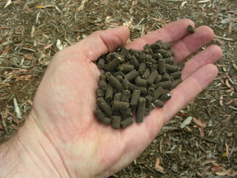 Hand holding organic fertilizer pellets