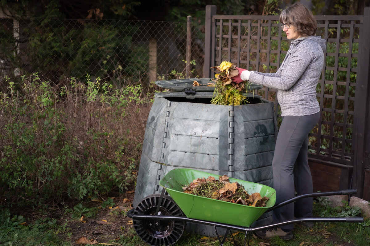 Middle aged caucasian woman throwing garden waste from wheelbarrow into compost bin