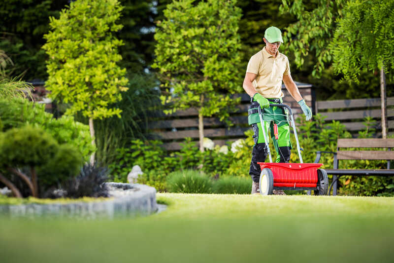 man using rotary spreader in a lawn
