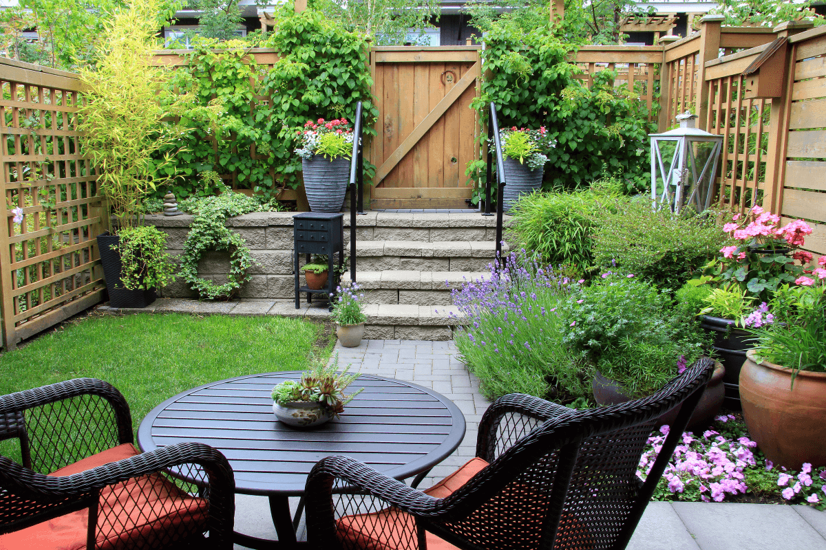 Small outdoor lawn and garden space