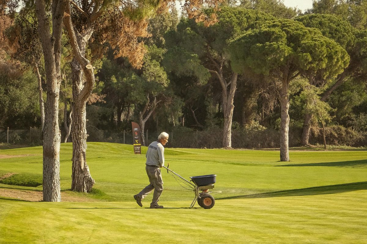 A man sowing lawn with lawn spreader