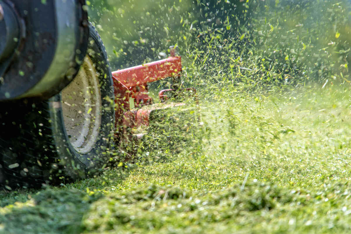 mower cutting grass in a lawn