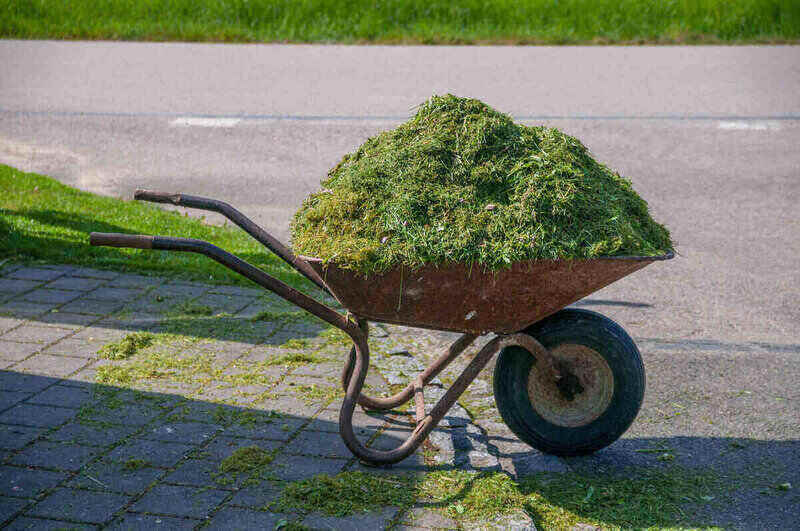 wheelbarrow full of grass clippings