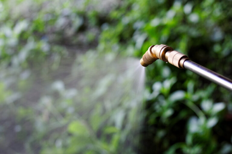 Close up of brass garden sprayer nozzle applying fine mist of liquid pre emergent herbicide over blurred green foliage background.
