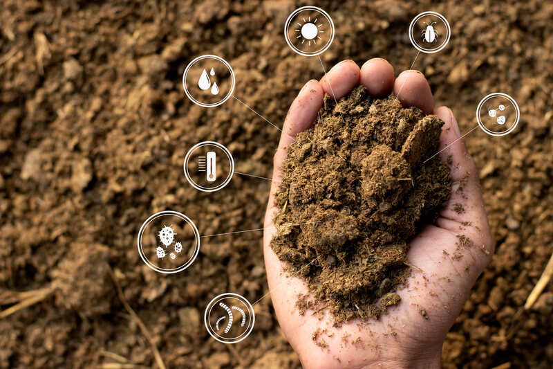 person holding manure in the hands