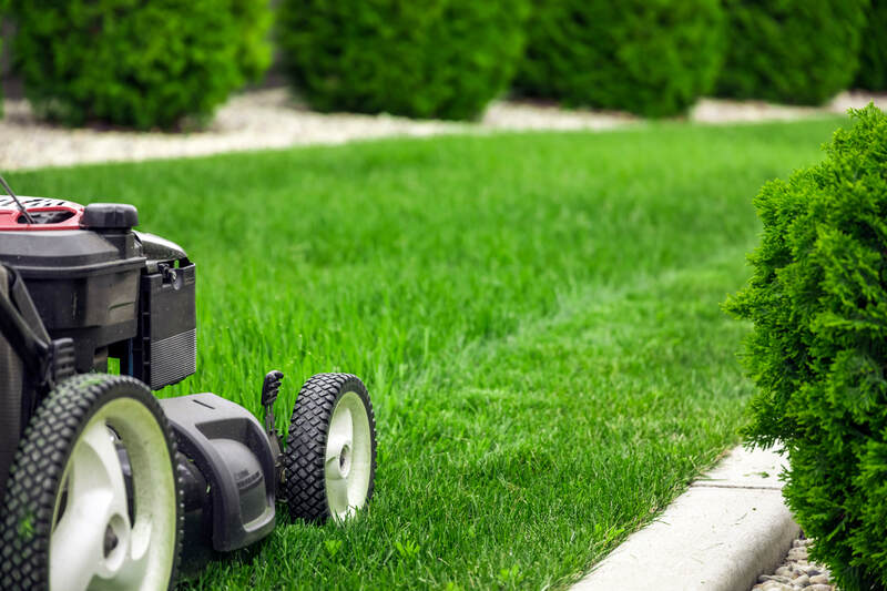 Lawn mower cutting green grass in backyard, mowing lawn