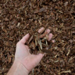 How to Use Mulch in the Yard