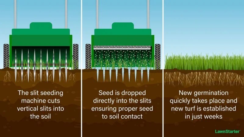 Three panel infographic shows slit seeding: machine cuts vertical soil slits, drops seed for contact, then turf germinates quickly weeks.