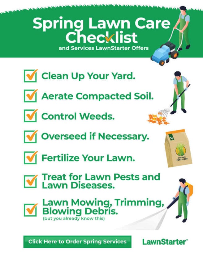 Infographic shwoing spring lawn care checklist.