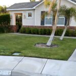 Best Grass Types for Riverside, CA