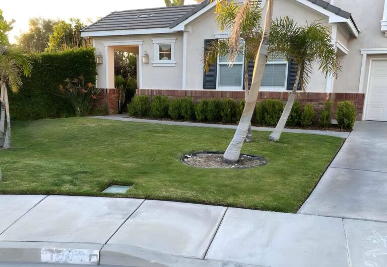 landscaped lawn in front of a house in Riverside, CA with blue sky