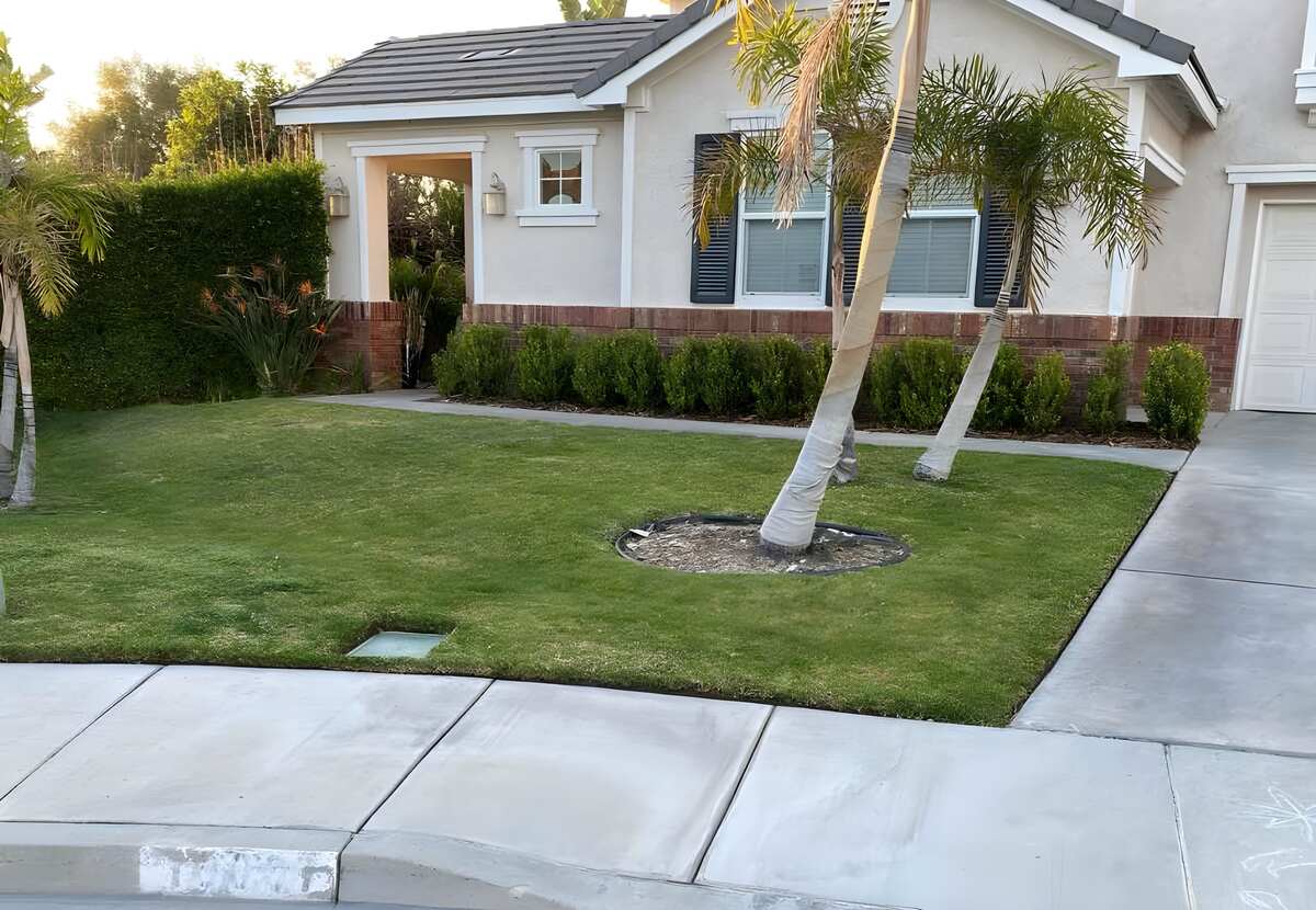 landscaped lawn in front of a house in Riverside, CA with blue sky